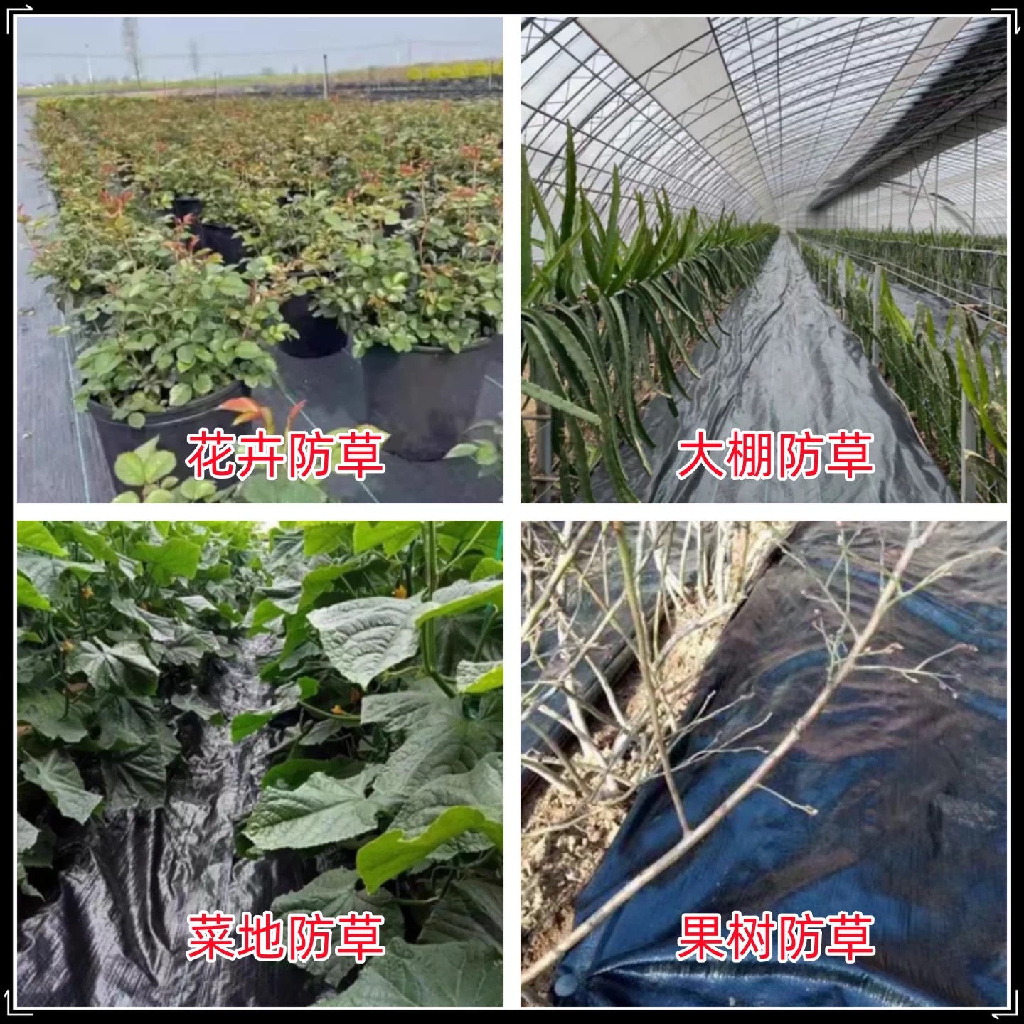 本溪市大棚膜防草布 - 厂家